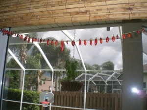 Drying Peppers